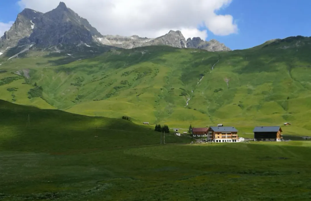 Apart-Wolf-Arlberg-1